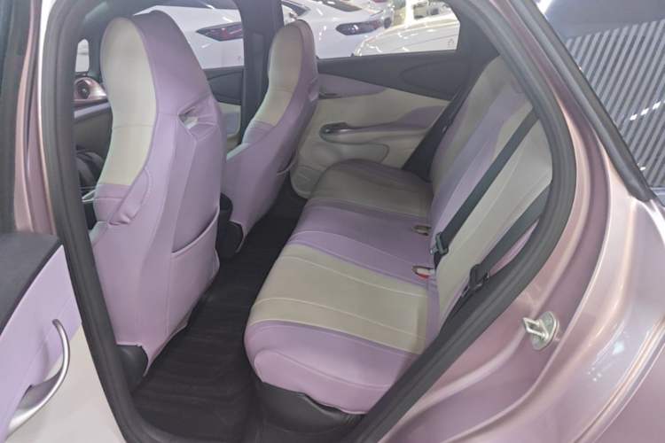 Used BYD Dolphin 2021 405 km Fashion Edition Left Rear Seat