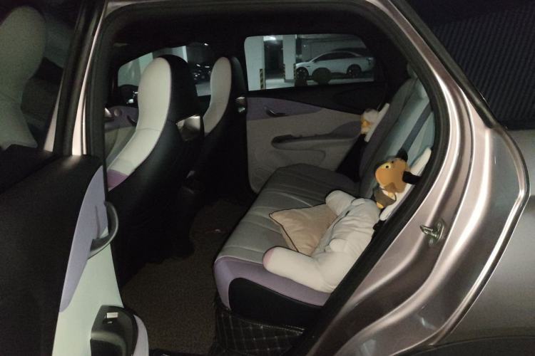 Used BYD Dolphin 2021 401km Knight Edition Left Rear Seat