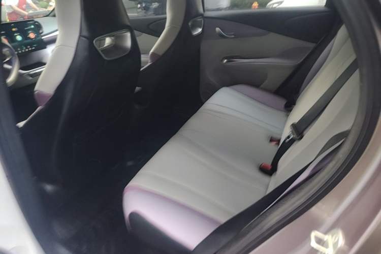 Used BYD Dolphin 2021 405 km Fashion Edition Left Rear Seat