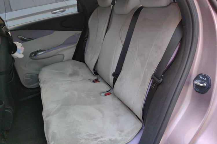 Used BYD Dolphin 2021 405 km Fashion Edition Left Rear Seat