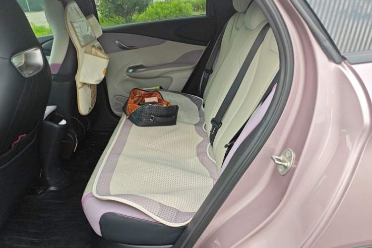 Used BYD Dolphin 2021 405 km Fashion Edition Left Rear Seat
