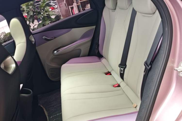Used BYD Dolphin 2021 401km Knight Edition Left Rear Seat