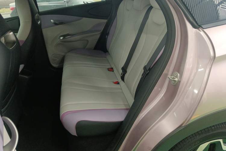 Used BYD Dolphin 2021 405 km Fashion Edition Left Rear Seat