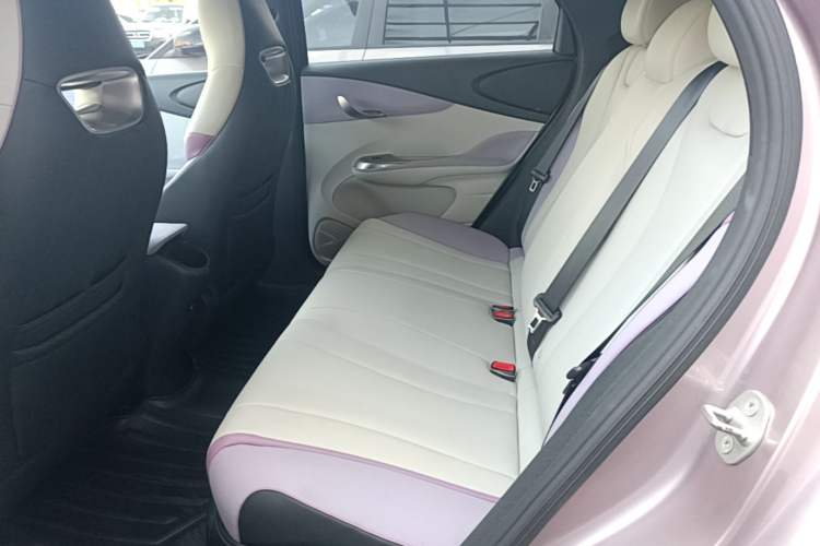 Used BYD Dolphin 2021 405 km Fashion Edition Left Rear Seat