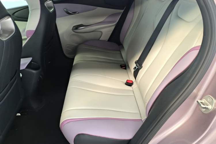 Used BYD Dolphin 2021 405 km Free Version Left Rear Seat