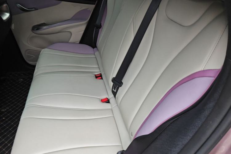 Used BYD Dolphin 2021 401km Knight Edition Left Rear Seat