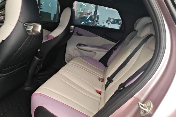 Used BYD Dolphin 2021 401km Knight Edition Left Rear Seat