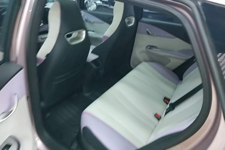 Used BYD Dolphin 2021 405 km Fashion Edition Left Rear Seat