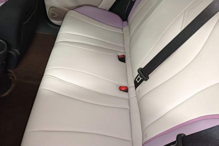 Used BYD Dolphin 2021 405 km Fashion Edition Left Rear Seat