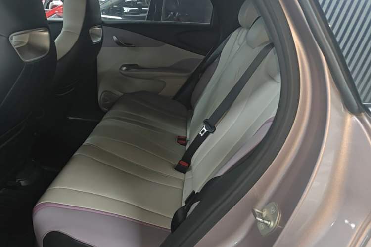 Used BYD Dolphin 2021 405 km Free Version Left Rear Seat