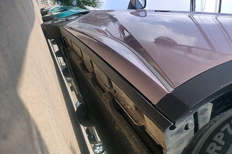 Used BYD Dolphin 2021 405 km Fashion Edition Left Side Sill
