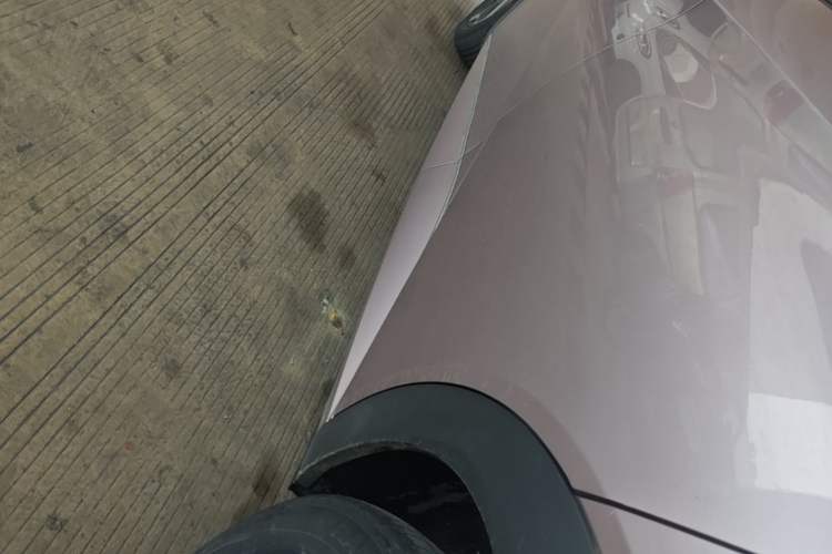 Used BYD Dolphin 2021 405 km Fashion Edition Left Side Sill
