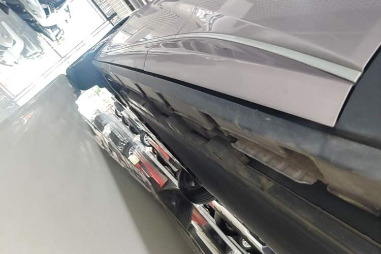 Used BYD Dolphin 2021 405 km Fashion Edition Left Side Sill
