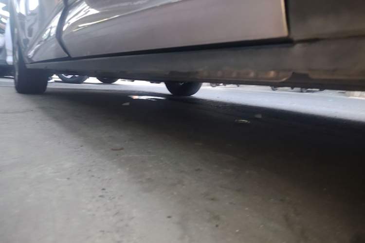 Used BYD Dolphin 2021 405 km Fashion Edition Left Side Sill