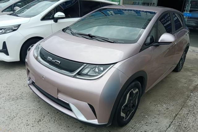 Used BYD Dolphin 2021 405 km Free Version