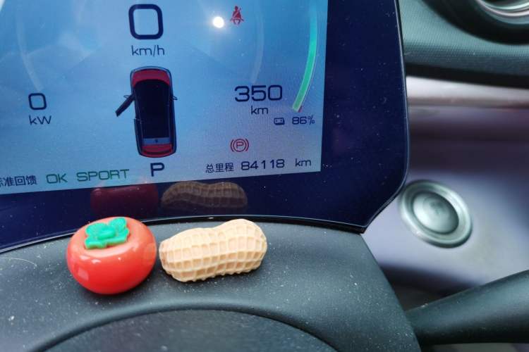Used BYD Dolphin 2021 405 km Fashion Edition Odometer Close Up