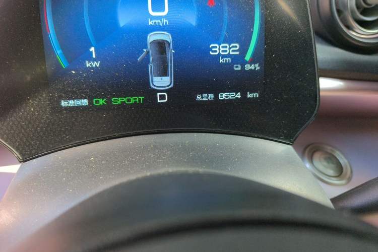 Used BYD Dolphin 2021 405 km Fashion Edition Odometer Close Up