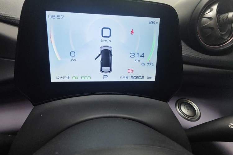 Used BYD Dolphin 2021 405 km Free Version Odometer Close Up