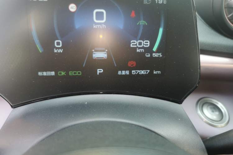 Used BYD Dolphin 2021 401km Knight Edition Odometer Close Up