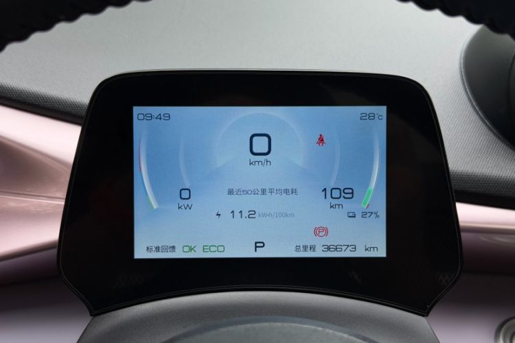 Used BYD Dolphin 2021 405 km Fashion Edition Odometer Close Up