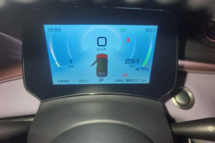 Used BYD Dolphin 2021 405 km Free Version Odometer Close Up