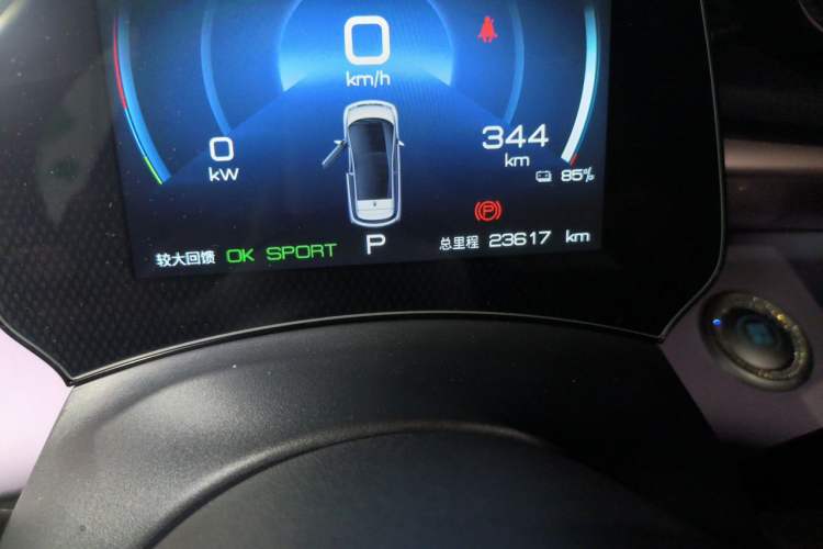 Used BYD Dolphin 2021 405 km Fashion Edition Odometer Close Up