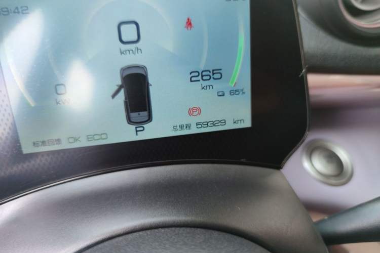 Used BYD Dolphin 2021 405 km Fashion Edition Odometer Close Up