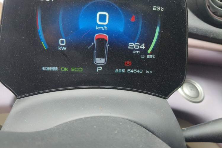 Used BYD Dolphin 2021 405 km Fashion Edition Odometer Close Up