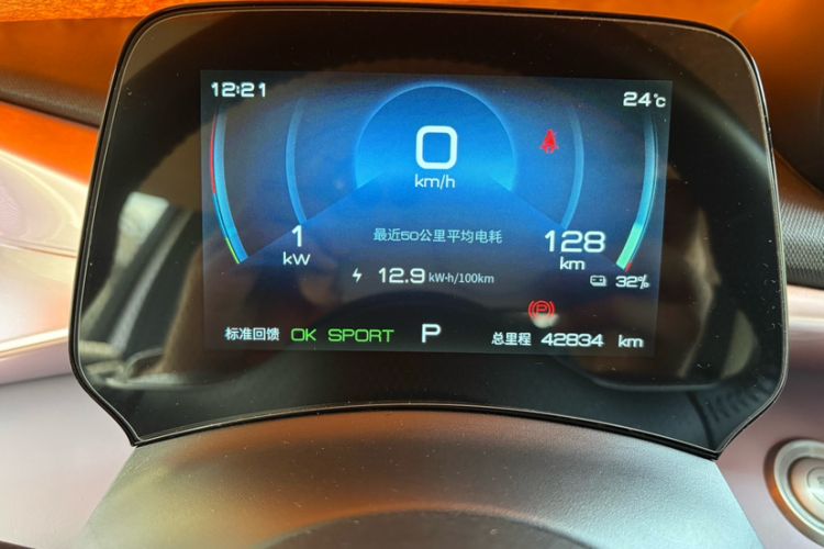 Used BYD Dolphin 2021 405 km Fashion Edition Odometer Close Up