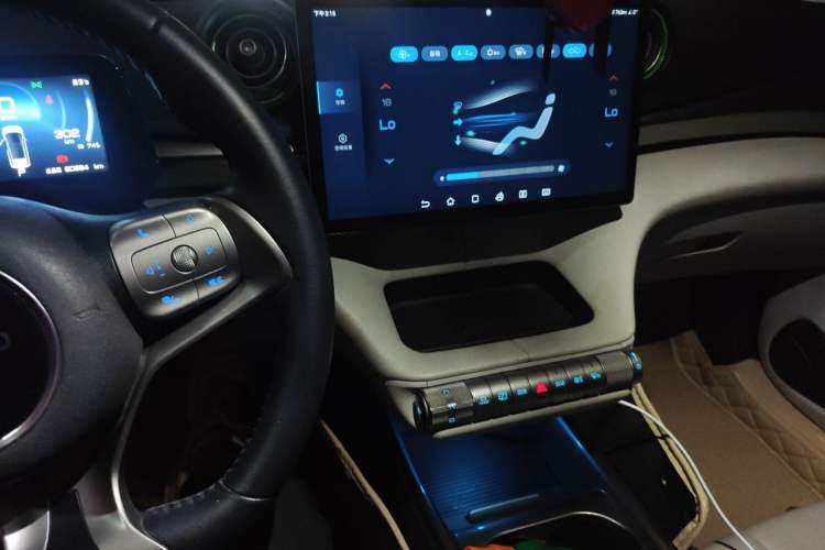 Used BYD Dolphin 2021 405 km Fashion Edition Audio And AC Panel