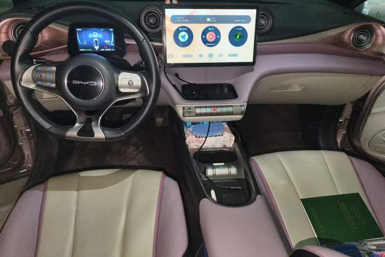 Used BYD Dolphin 2021 405 km Fashion Edition Center Console