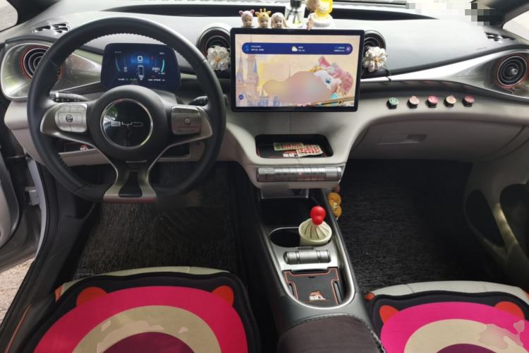Used BYD Dolphin 2021 405 km Free Version Center Console