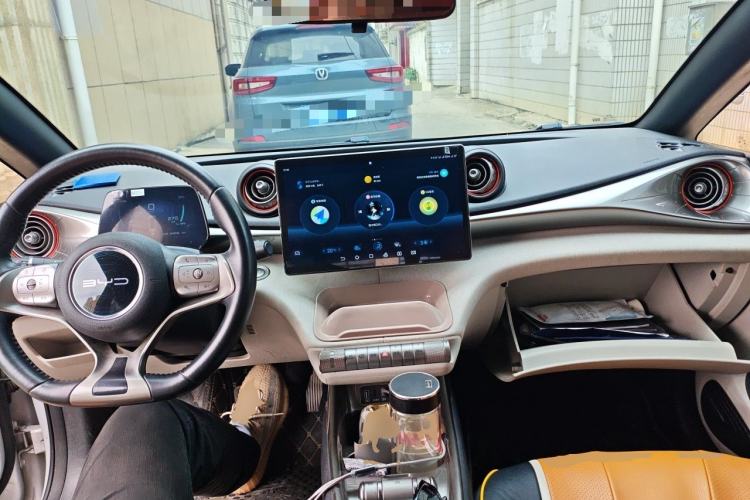 Used BYD Dolphin 2021 405 km Fashion Edition Center Console