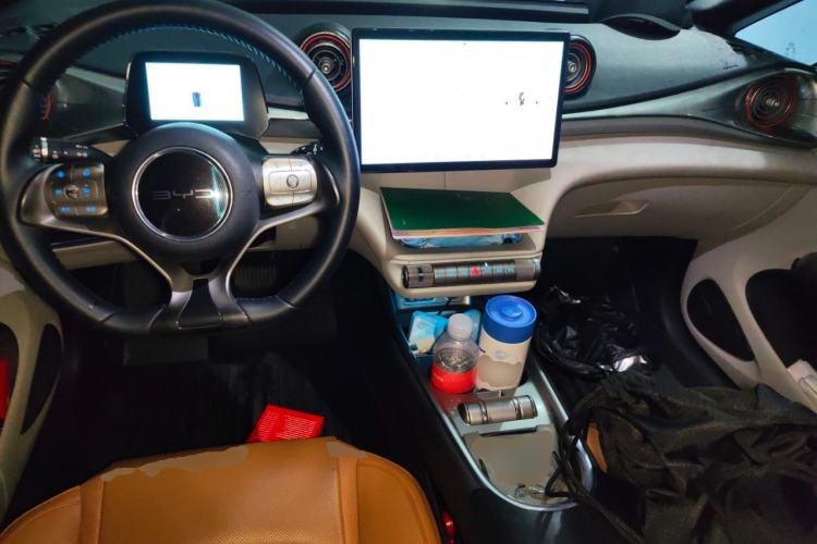 Used BYD Dolphin 2021 405 km Fashion Edition Center Console