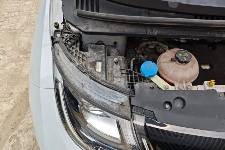 Used BYD Dolphin 2021 405 km Fashion Edition Engine Bay Right
