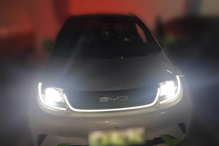 Used BYD Dolphin 2021 405 km Fashion Edition Front