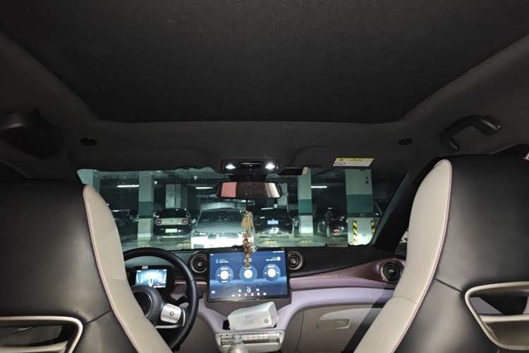 Used BYD Dolphin 2021 405 km Fashion Edition Headliner