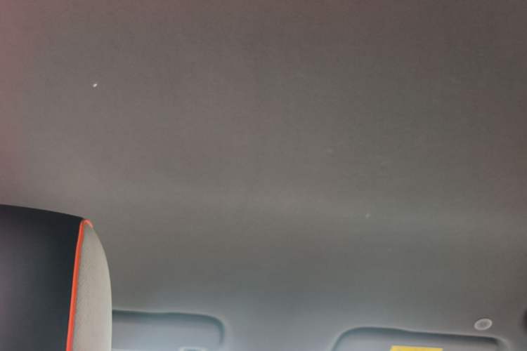 Used BYD Dolphin 2021 405 km Free Version Headliner