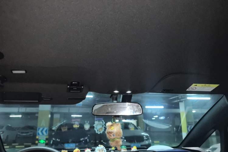 Used BYD Dolphin 2021 405 km Free Version Headliner