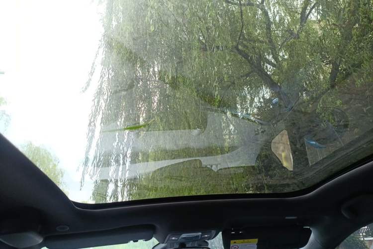 Used BYD Dolphin 2021 401km Knight Edition Headliner