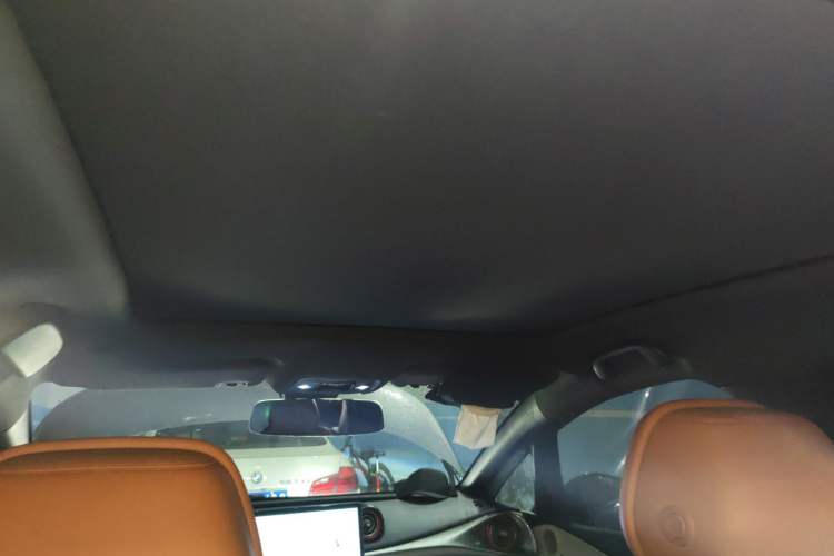 Used BYD Dolphin 2021 405 km Fashion Edition Headliner