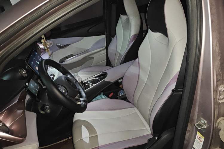 Used BYD Dolphin 2021 405 km Fashion Edition Left Front Seat