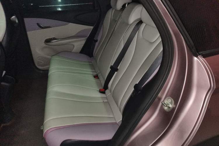 Used BYD Dolphin 2021 405 km Fashion Edition Left Rear Seat