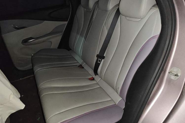 Used BYD Dolphin 2021 405 km Fashion Edition Left Rear Seat