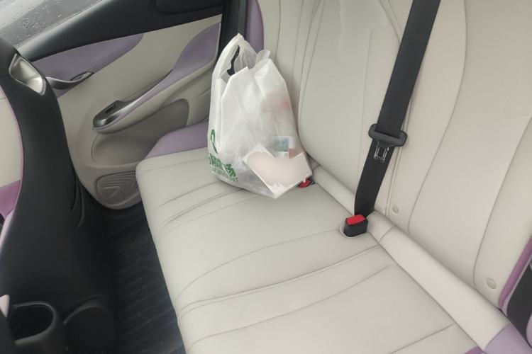 Used BYD Dolphin 2021 405 km Fashion Edition Left Rear Seat