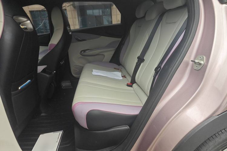 Used BYD Dolphin 2021 405 km Fashion Edition Left Rear Seat