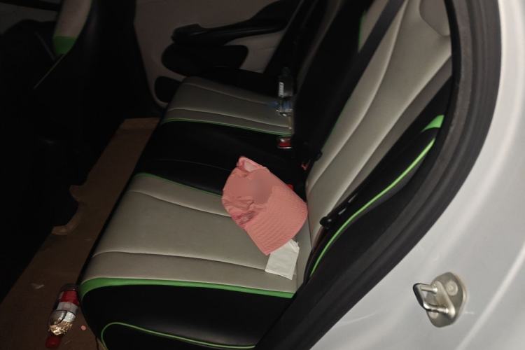 Used BYD Dolphin 2021 405 km Fashion Edition Left Rear Seat