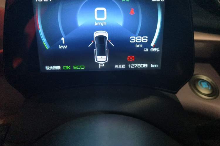 Used BYD Dolphin 2021 405 km Fashion Edition Odometer Close Up
