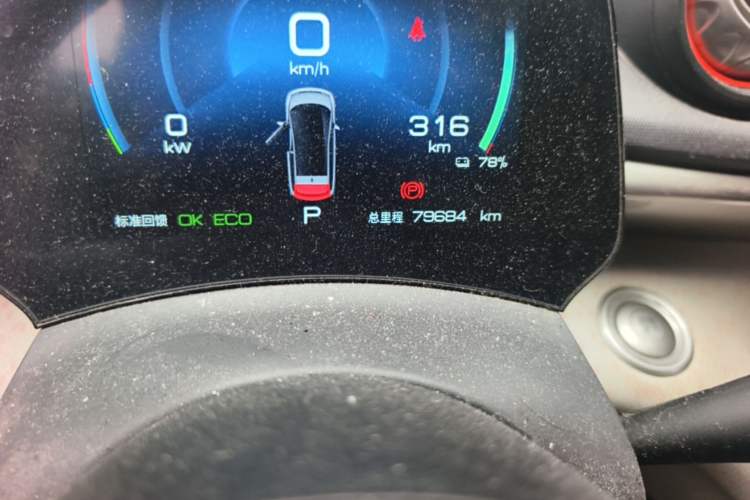 Used BYD Dolphin 2021 405 km Free Version Odometer Close Up