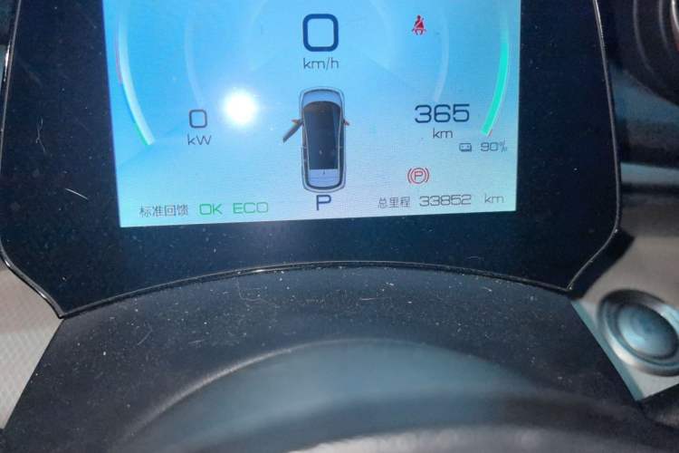 Used BYD Dolphin 2021 405 km Free Version Odometer Close Up